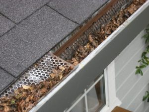 leaves in house gutter